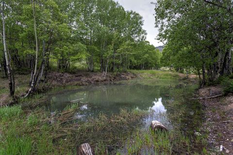 Tiny photo for 959 W Cow Creek Road, Hamilton, MT 59840 (MLS # 30068406)