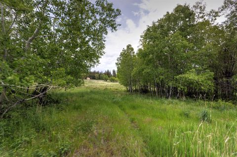 Tiny photo for 959 W Cow Creek Road, Hamilton, MT 59840 (MLS # 30068406)