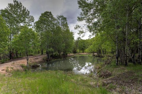 Tiny photo for 959 W Cow Creek Road, Hamilton, MT 59840 (MLS # 30068406)