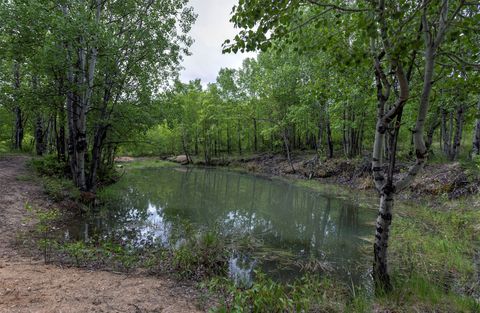 Tiny photo for 959 W Cow Creek Road, Hamilton, MT 59840 (MLS # 30068406)