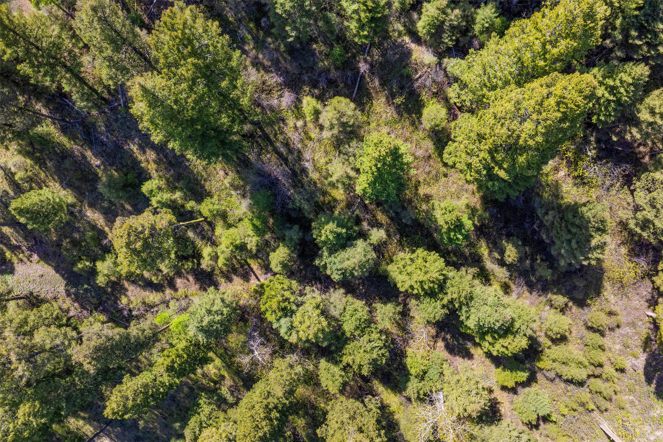 25575 Patter Spur Road S