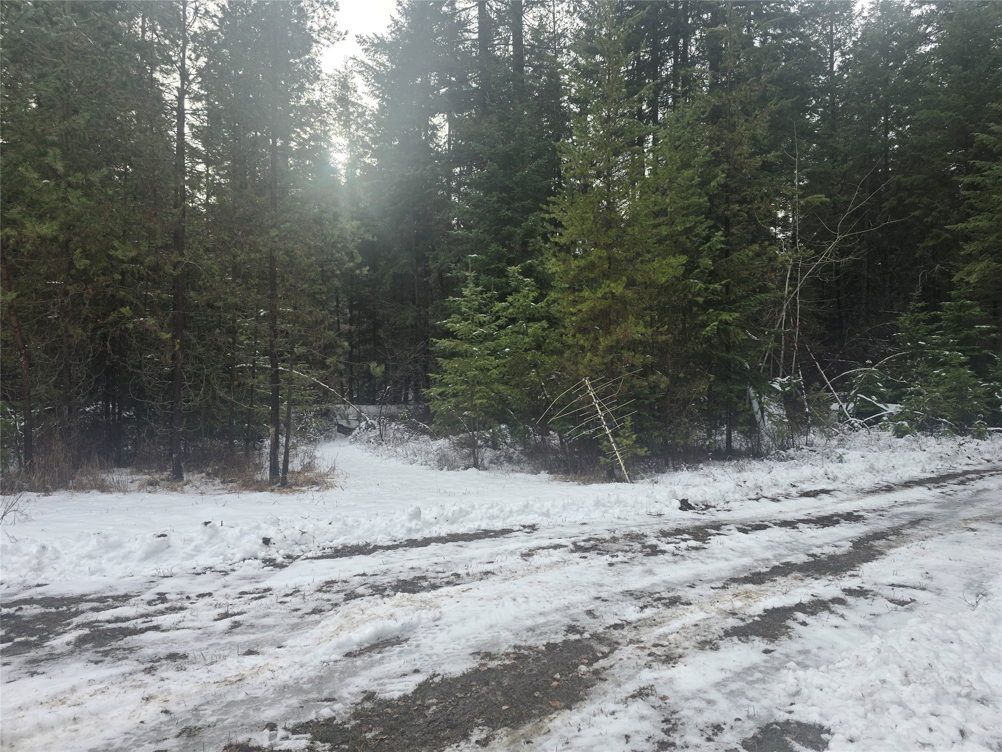 769 Lower Seven Mile Creek Road