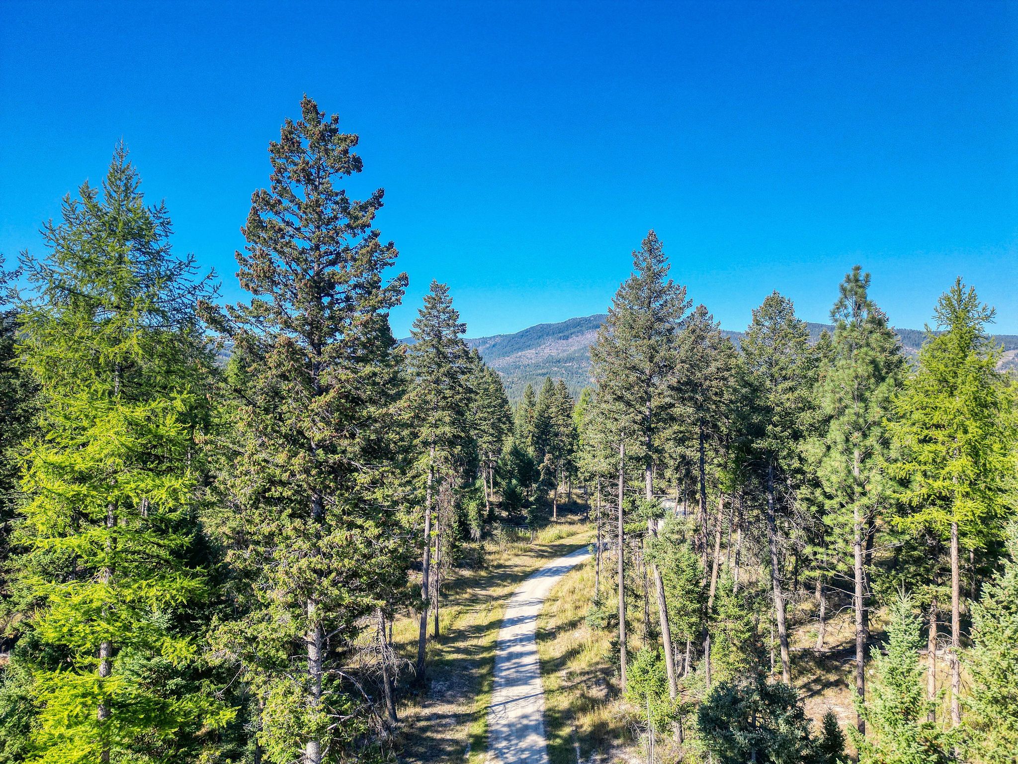 NHN N Dayton Creek Road
