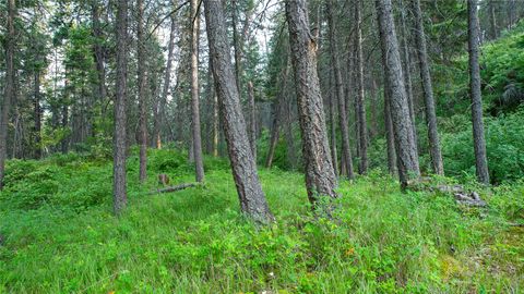 NHN Black Point Road Polson MT 59860