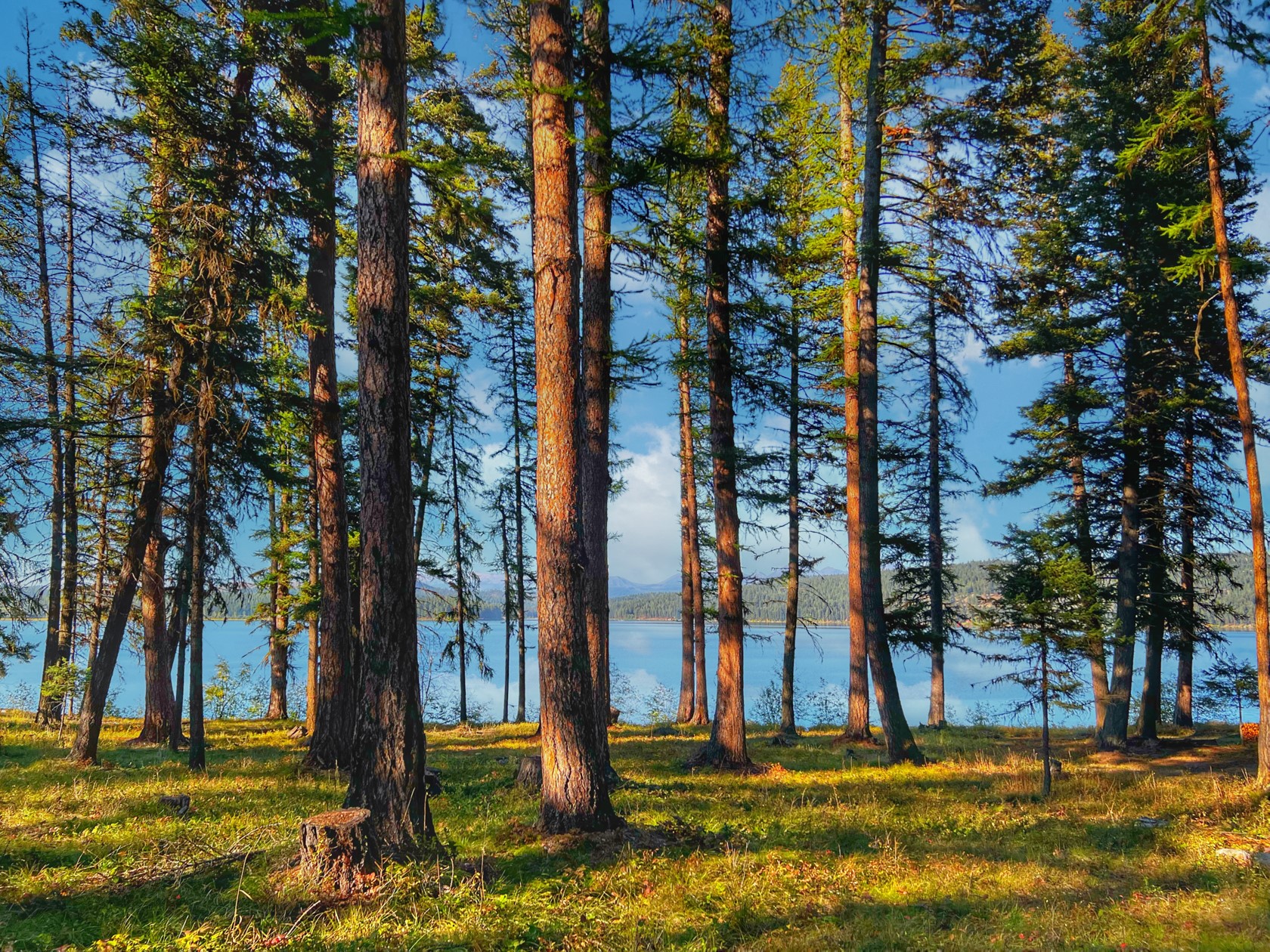 1026 Placid View Place