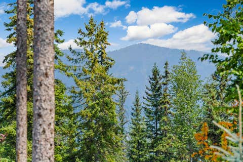 Tiny photo for 1 Merganser Court, Whitefish, MT 59937 (MLS # 30076122)