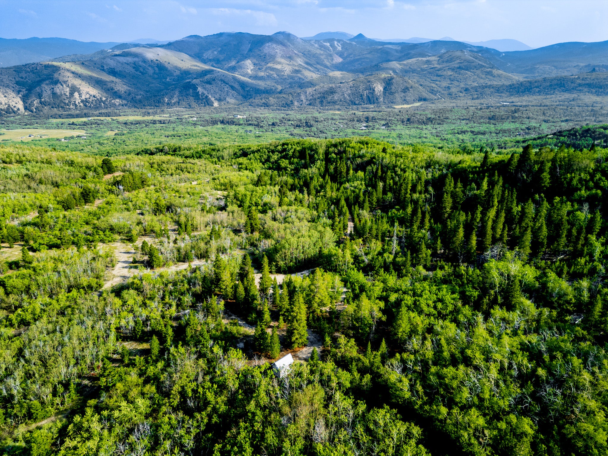 NHN Bear Paw Trail