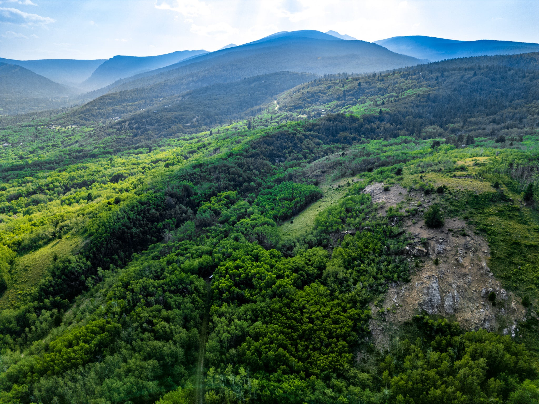 NHN Bear Paw Trail