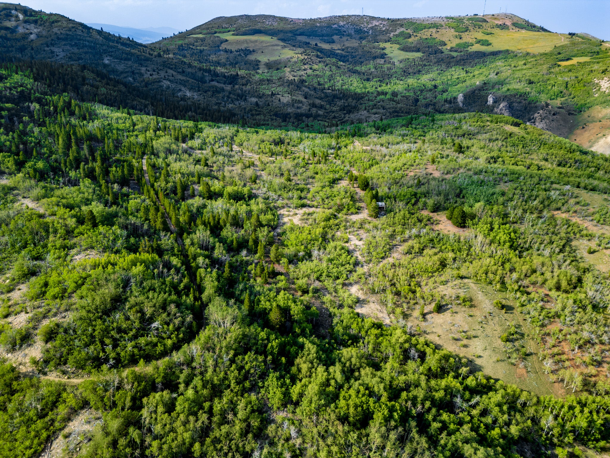 NHN Bear Paw Trail
