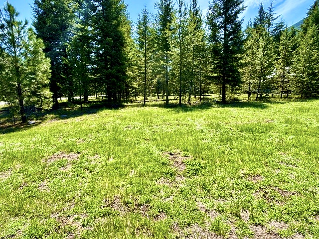 Lot 7 Fairview Drive