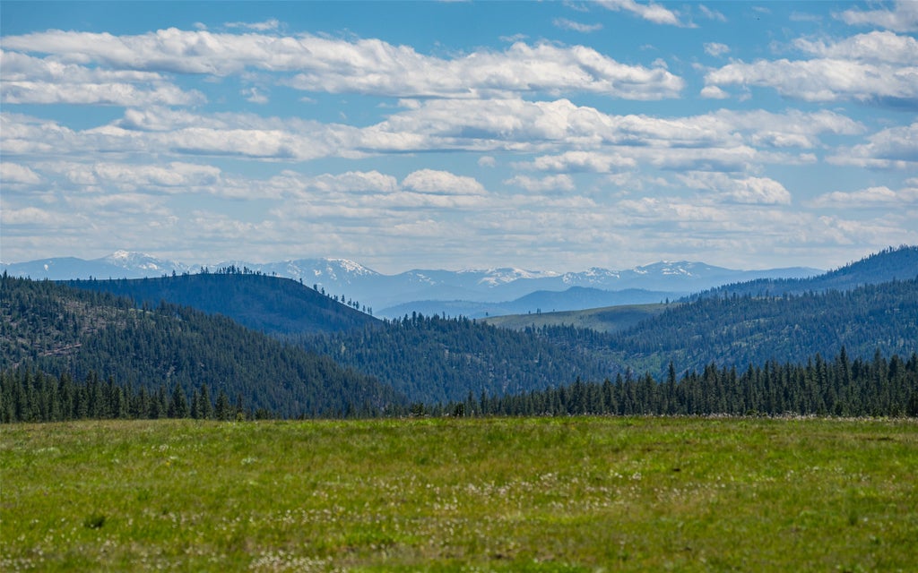 Photo of 3605 Hubbart Dam Road, Marion, MT 59925 (MLS # 30071052)