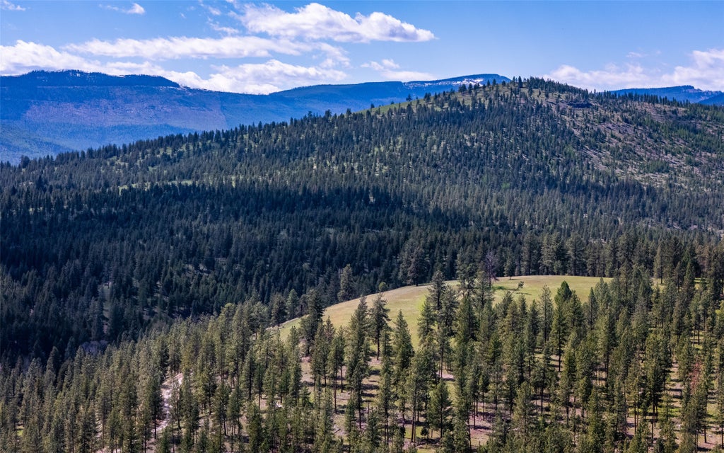 Photo of 3605 Hubbart Dam Road, Marion, MT 59925 (MLS # 30071052)