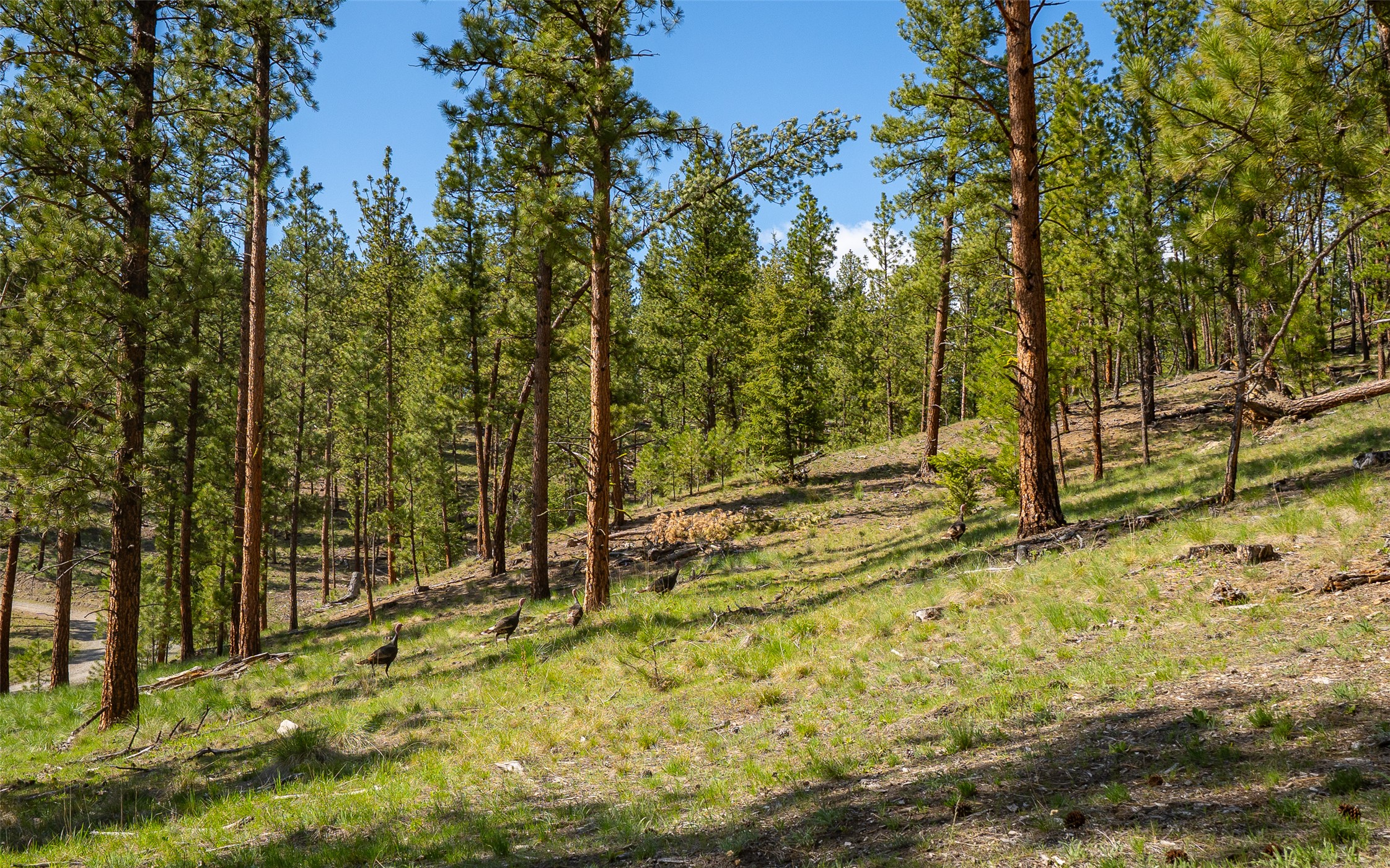 3605 Hubbart Dam Road