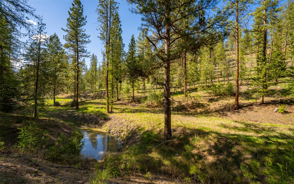 Photo of 3605 Hubbart Dam Road, Marion, MT 59925 (MLS # 30071052)