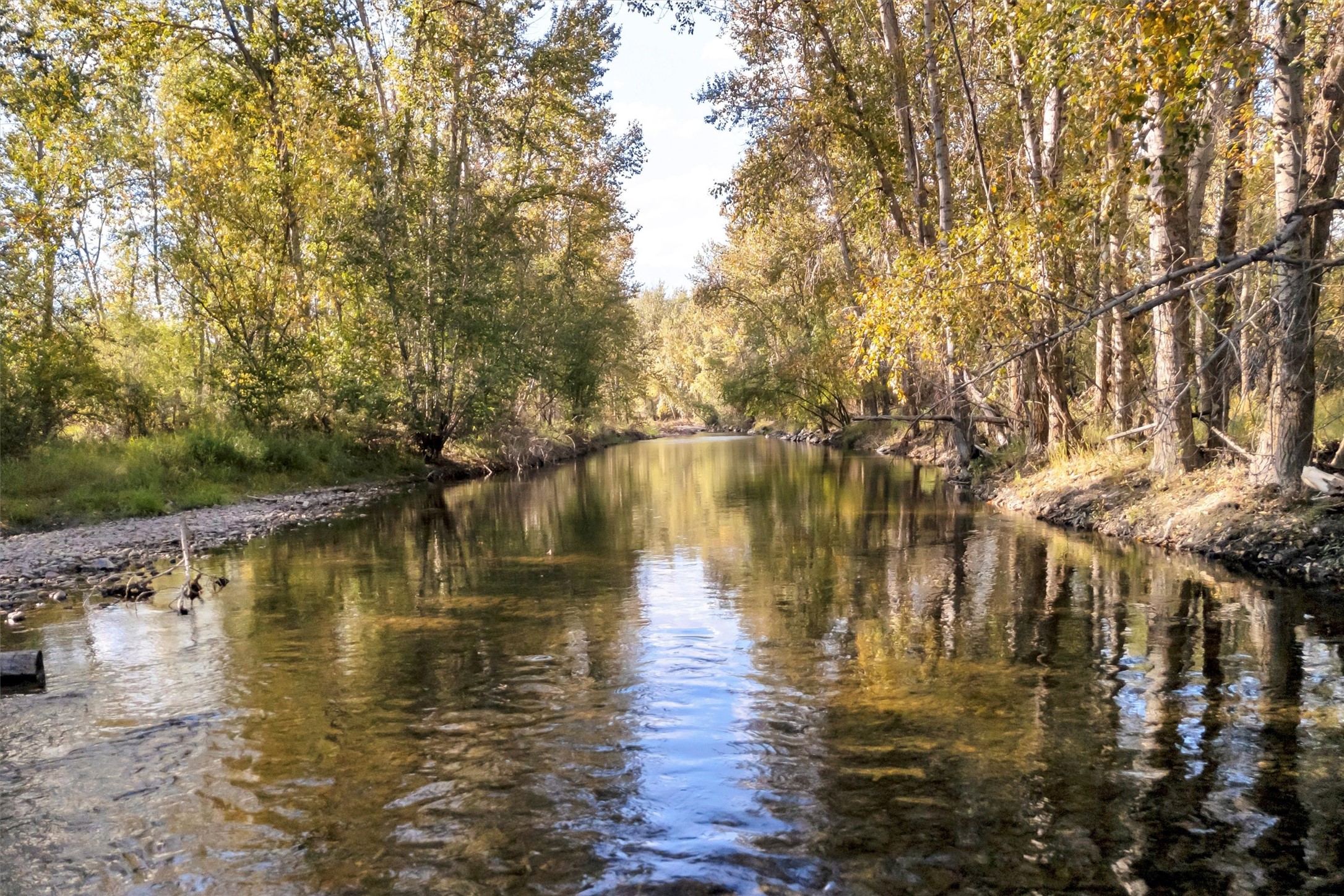 12515 Us Highway 93 S