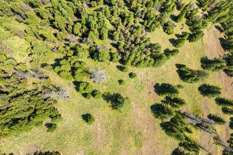 Tiny photo for 1805 Emmons Canyon Road, Kila, MT 59920 (MLS # 30071527)