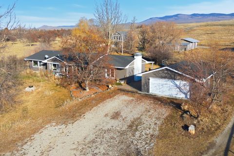 1948 Mountain View Orchard Road Corvallis MT 59828