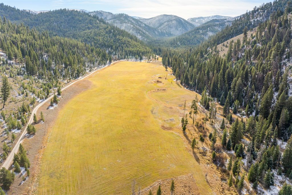 Photo of NHN W Fork Road, Darby, MT 59829 (MLS # 30064996)