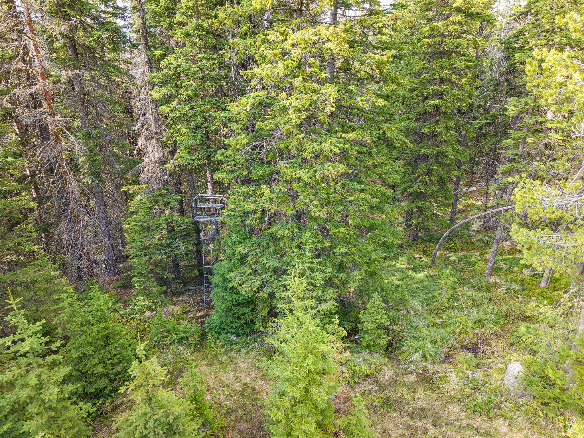 75 +/- Ac Jack Creek