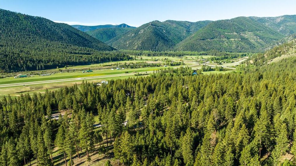 Lot 19 Caddisfly Court