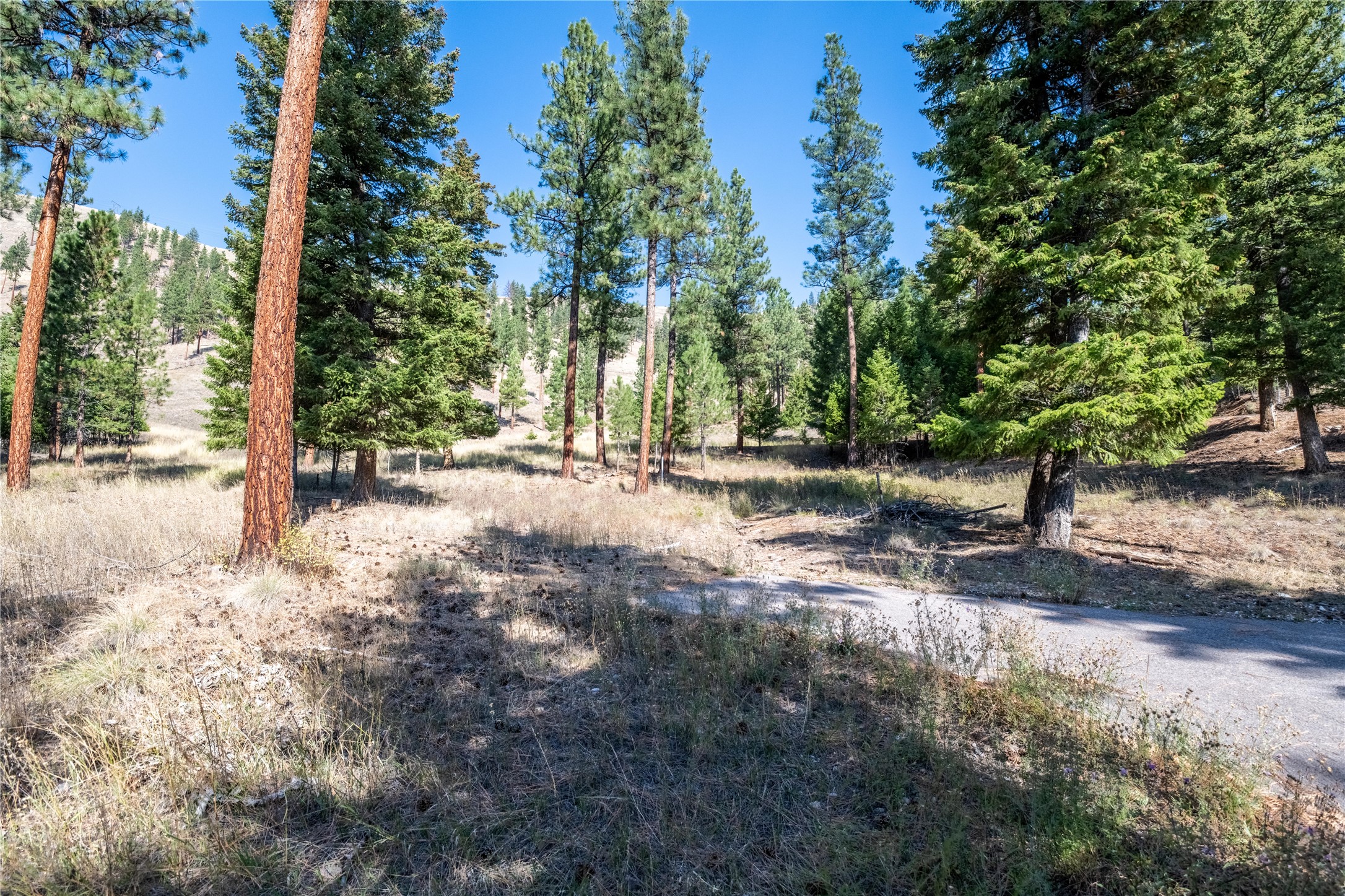 Lot 19 Caddisfly Court