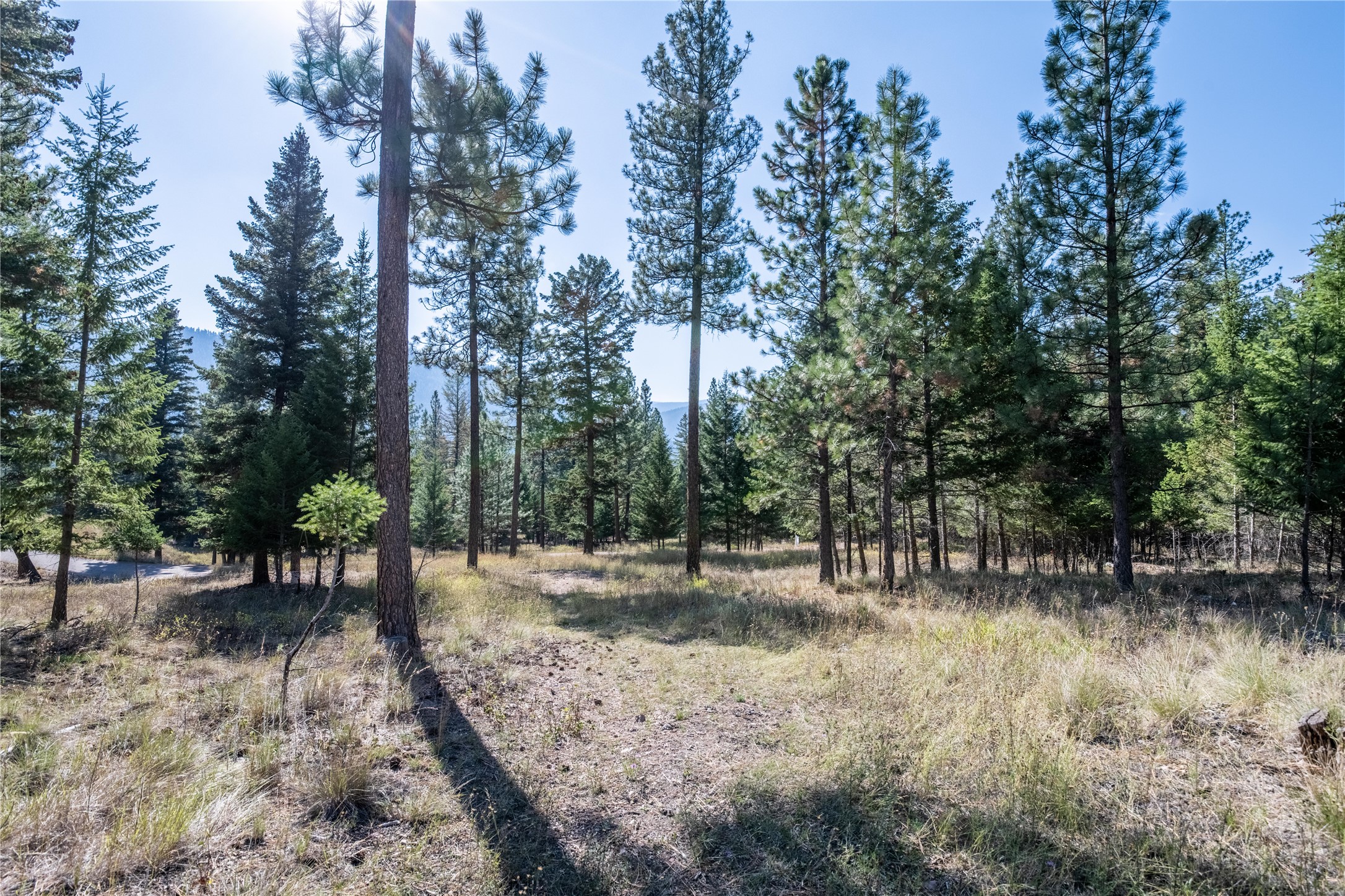 Lot 19 Caddisfly Court