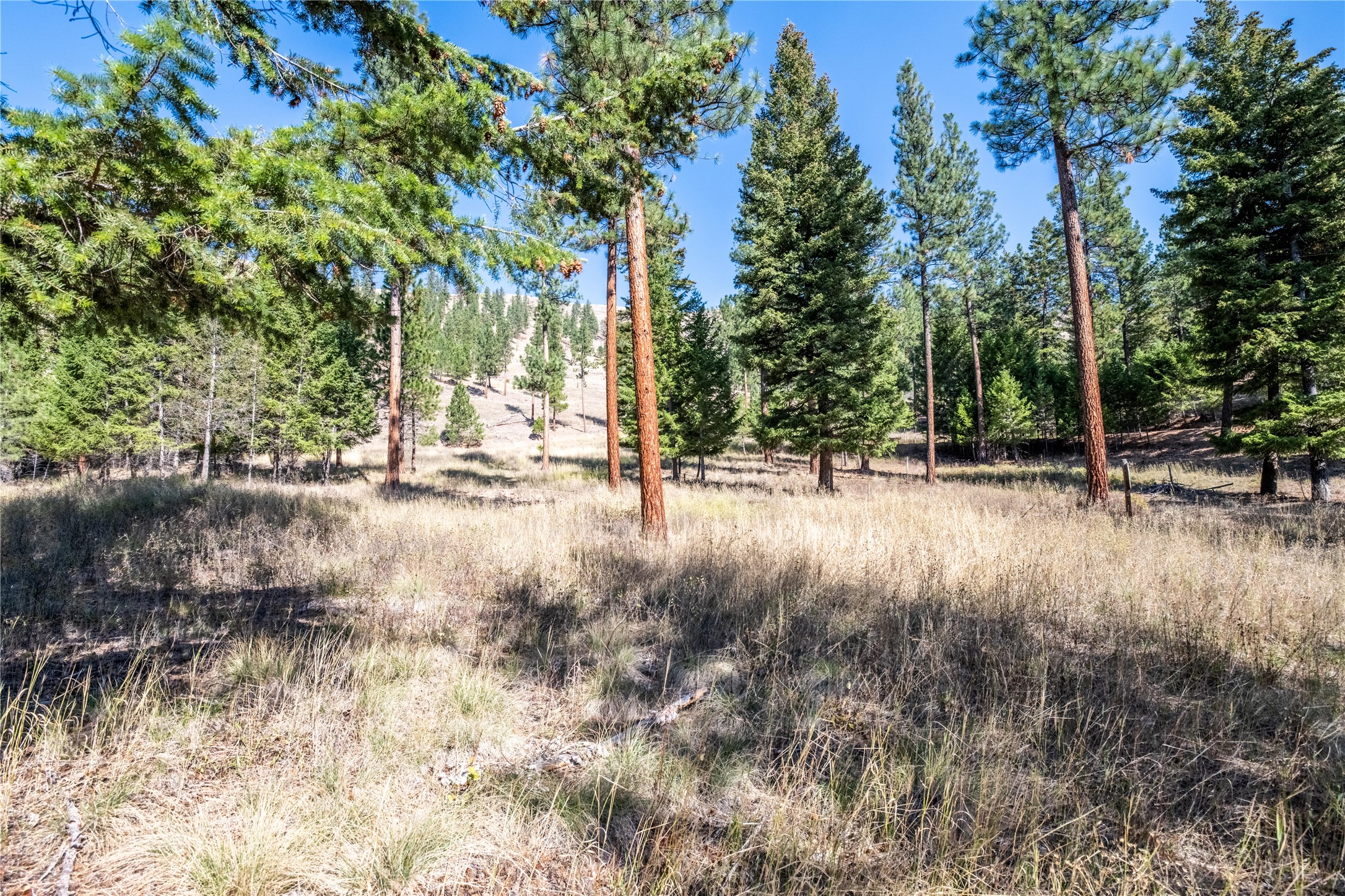 Lot 19 Caddisfly Court