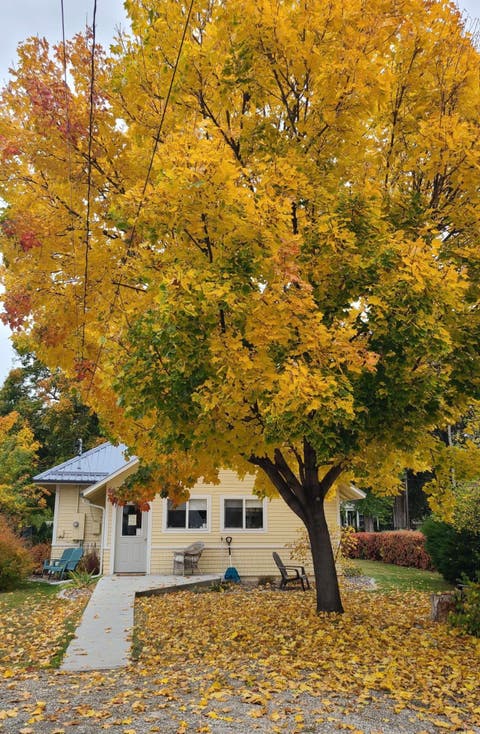 Tiny photo for 424 S 2nd Street, Hamilton, MT 59840 (MLS # 30077085)