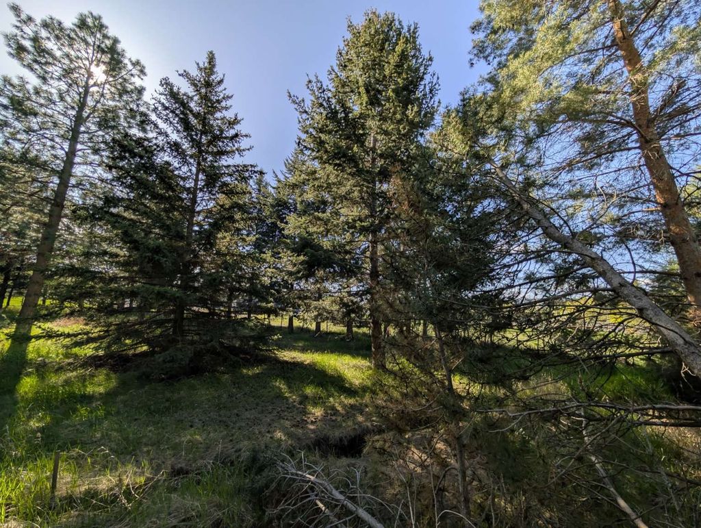 Photo of 117 Northwest Lane #B, Kalispell, MT 59901 (MLS # 30069951)