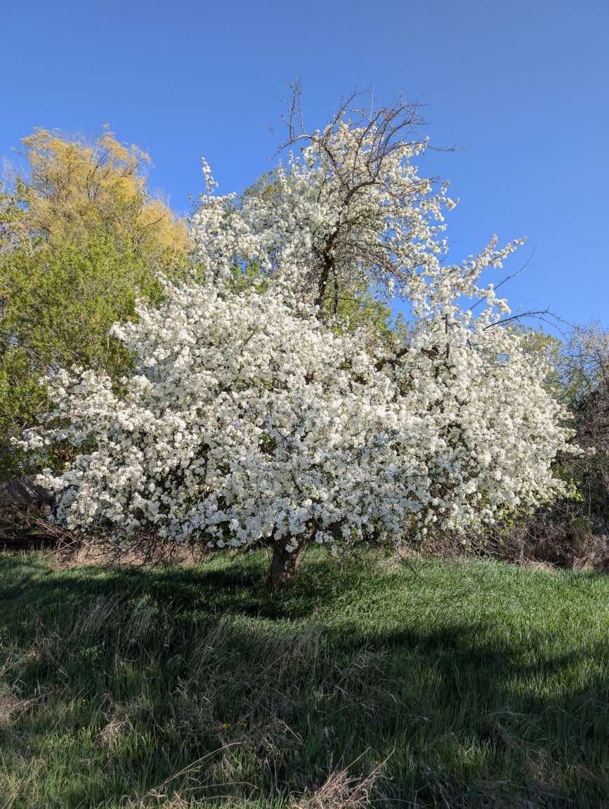 117 Northwest Lane B