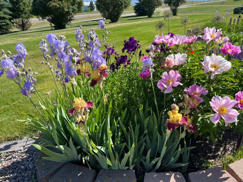 Tiny photo for 36197 Acre View Drive, Polson, MT 59860 (MLS # 30069256)