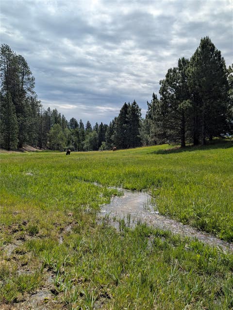 Tiny photo for 511 Hudson Lane, Victor, MT 59875 (MLS # 30073464)