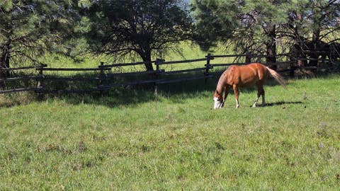 Tiny photo for 511 Hudson Lane, Victor, MT 59875 (MLS # 30073464)