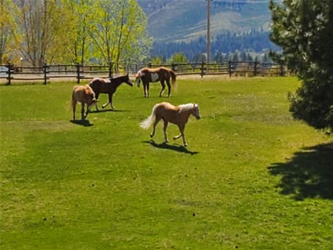 Tiny photo for 511 Hudson Lane, Victor, MT 59875 (MLS # 30073464)