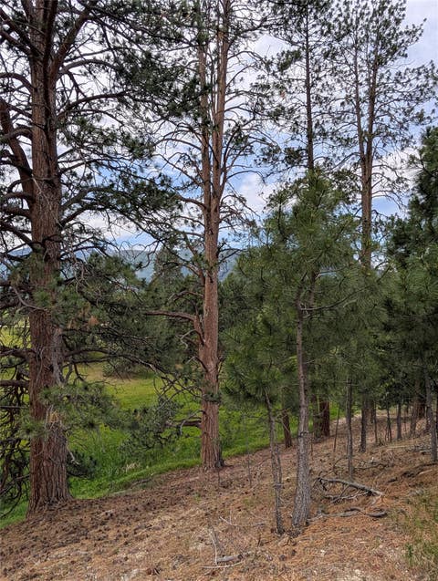 Tiny photo for 511 Hudson Lane, Victor, MT 59875 (MLS # 30073464)