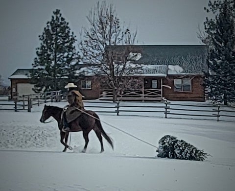 Tiny photo for 511 Hudson Lane, Victor, MT 59875 (MLS # 30073464)