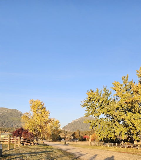 Tiny photo for 511 Hudson Lane, Victor, MT 59875 (MLS # 30073464)