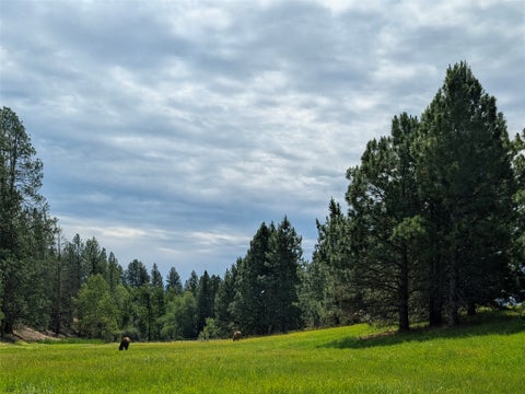 Tiny photo for 511 Hudson Lane, Victor, MT 59875 (MLS # 30073464)