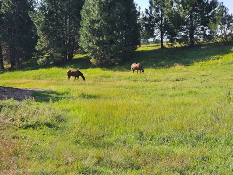Tiny photo for 511 Hudson Lane, Victor, MT 59875 (MLS # 30073464)