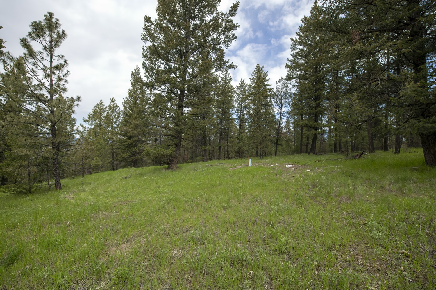 Lot 2 Elk Camp
