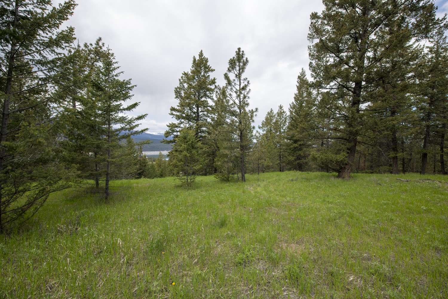 Lot 2 Elk Camp