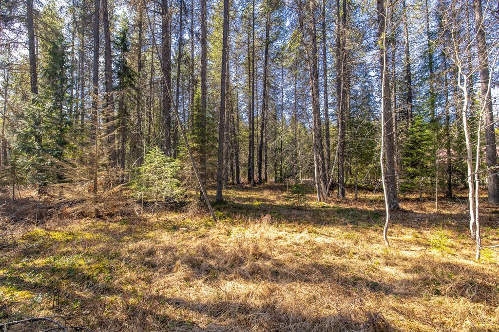 Photo of NHN Rabe Road, Columbia Falls, MT 59912 (MLS # 30068453)