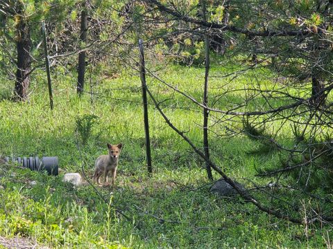 Tiny photo for 28341 Yaak River Road, Troy, MT 59935 (MLS # 30072512)