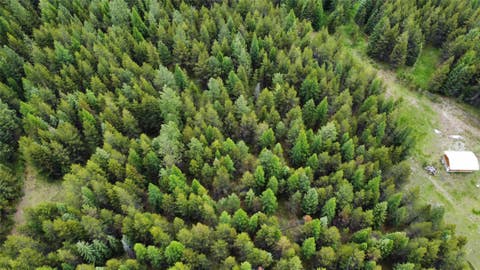 Tiny photo for 28341 Yaak River Road, Troy, MT 59935 (MLS # 30072512)
