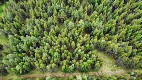 Tiny photo for 28341 Yaak River Road, Troy, MT 59935 (MLS # 30072512)
