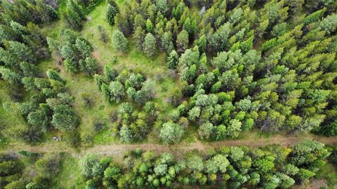 Tiny photo for 28341 Yaak River Road, Troy, MT 59935 (MLS # 30072512)