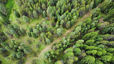 Tiny photo for 28341 Yaak River Road, Troy, MT 59935 (MLS # 30072512)