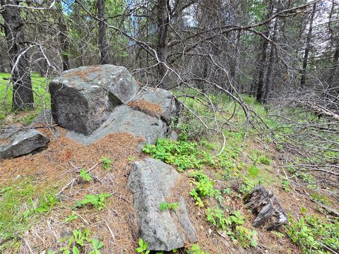 Tiny photo for 28341 Yaak River Road, Troy, MT 59935 (MLS # 30072512)