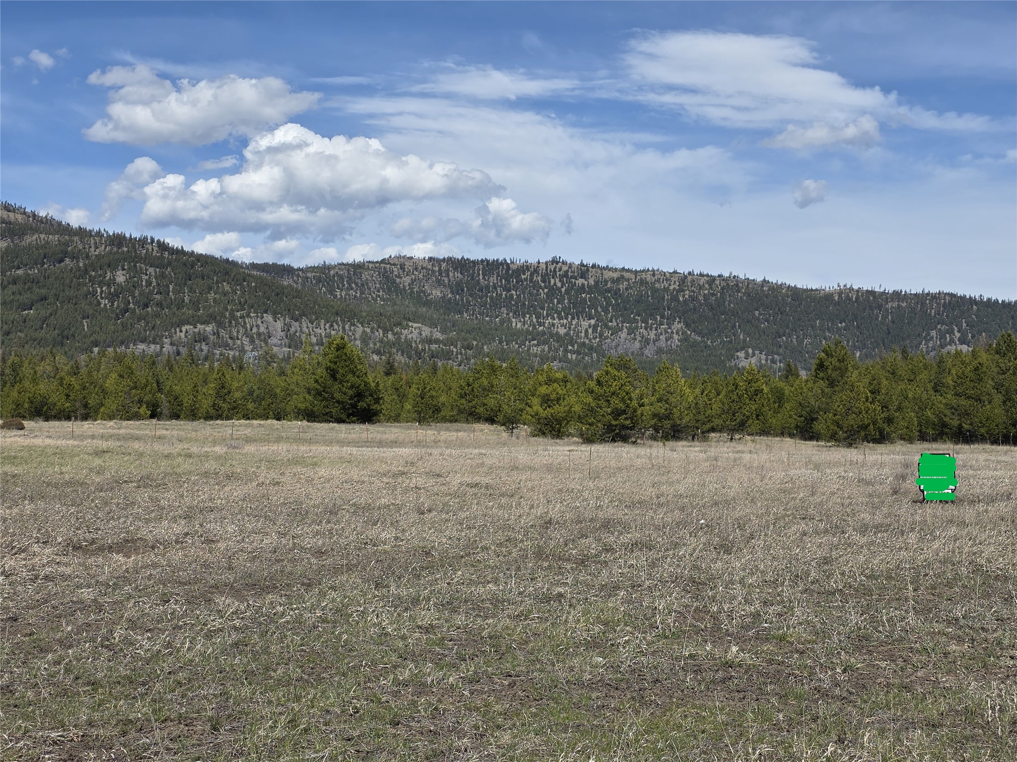 115 Marion Meadows Trail