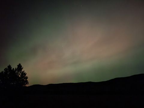 Tiny photo for 115 Marion Meadows Trail, Marion, MT 59925 (MLS # 30069207)